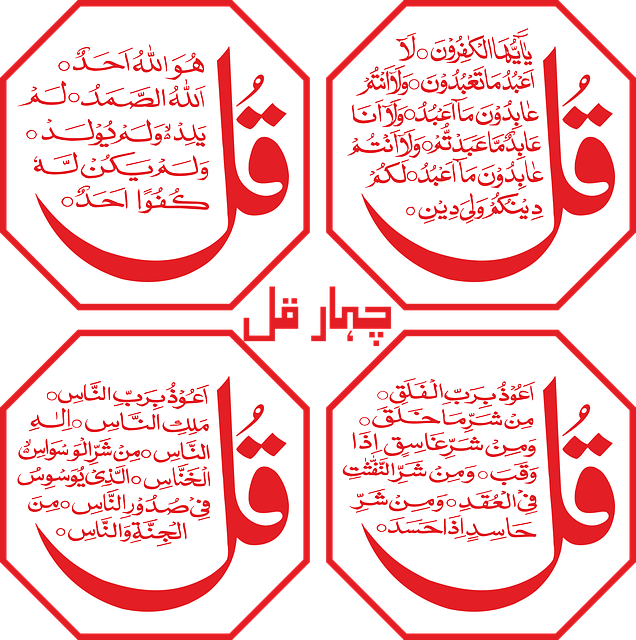 كتاب الشركة