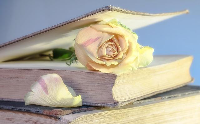 كتاب المكاتب